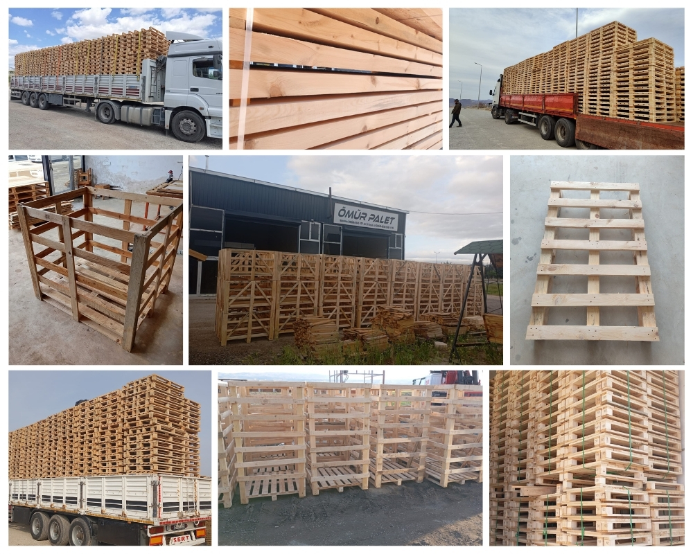 Zaandijk Houten Kisten, Europallets Groothandel Kopen